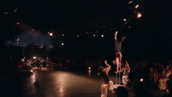 Acrobatics GIF by MagdaClan circo