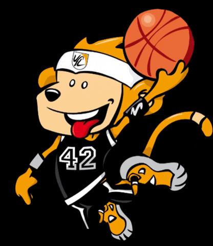 VfL Waiblingen GIF