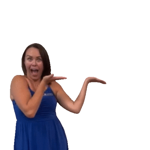 The American Dream North Florida Sticker by Yourbusinesssavvyva