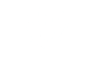 Day Balonky Sticker by Kolorky