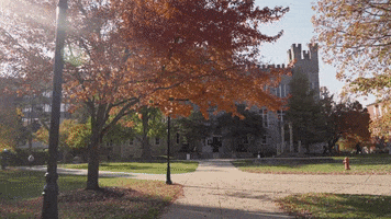 GIF by Illinois State University