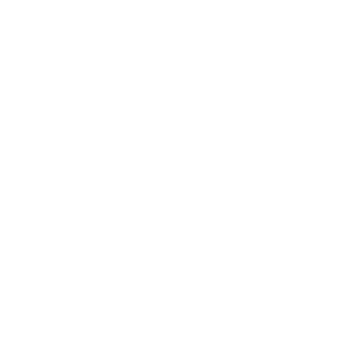 Sitting Pretty Halo Hair Sticker