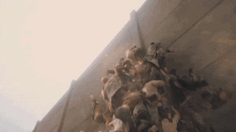 World War Z Gifs Get The Best Gif On Giphy