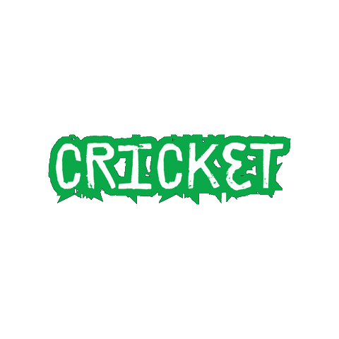 Sport India Sticker by Jennifer Greenhill