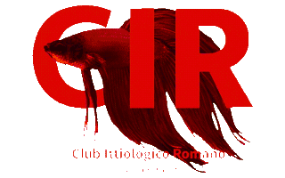 Cir Sticker by Card Roma Club