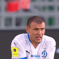 Football Футбол GIF by FC Dynamo Moscow