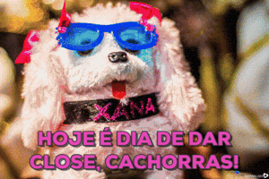 dayanaluiza  GIF
