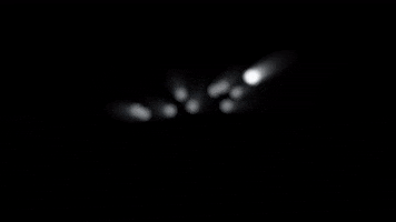 Ritter Dental GIF