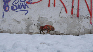 Street Climate GIF by Kaybid