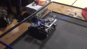 Animated GIF
