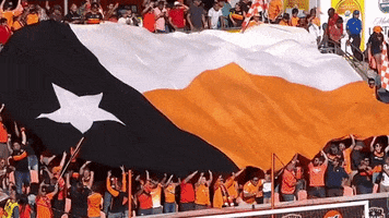 H-Town Soccer GIF by Houston Dynamo