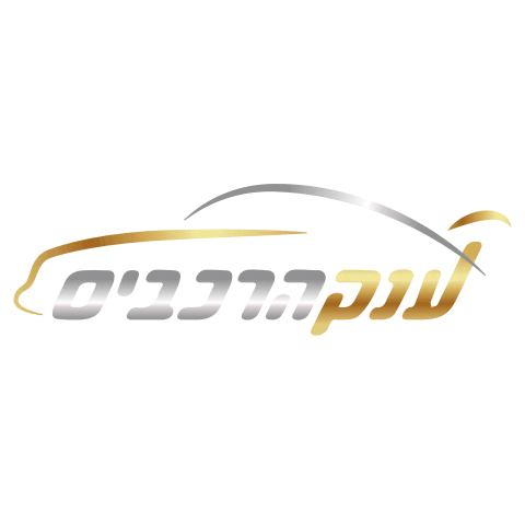 Anakharechavim Sticker by lironcar