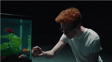 Love Songs Swimming GIF by Alec Wigdahl