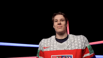 Český hokej GIF