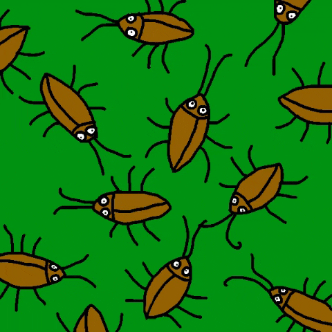 Bugs Insects GIF by Matthew Harris