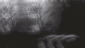 Lightning Trees GIF by Well Now WTF?