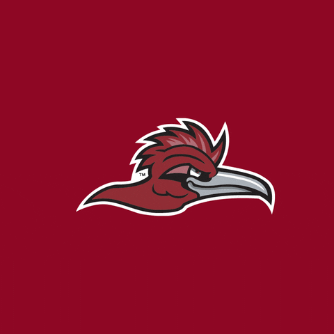 roadrunner rcnj GIF by Ramapo College of New Jersey