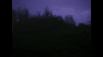 Forest Spinning GIF by Cat Clyde