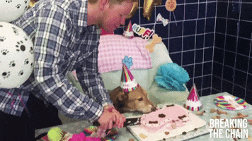 Party Celebrate GIF by PETA