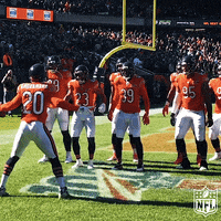 Celebrate Regular Season GIF by NFL