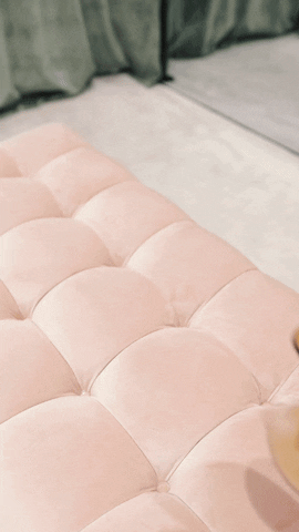 modesportif GIF