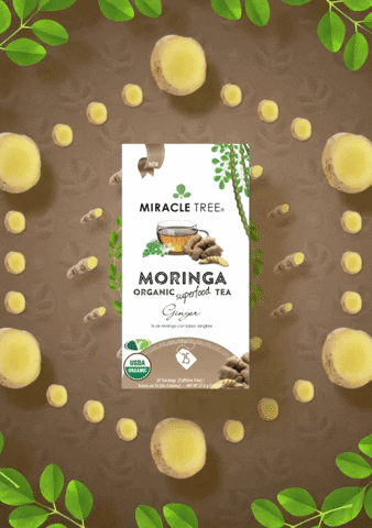 Miracle Tree GIF