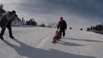Idea Distribution LLC GIF