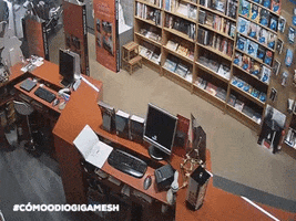 Books GIF