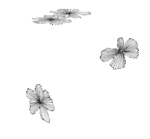 Sticker by Jinny Ngui Design