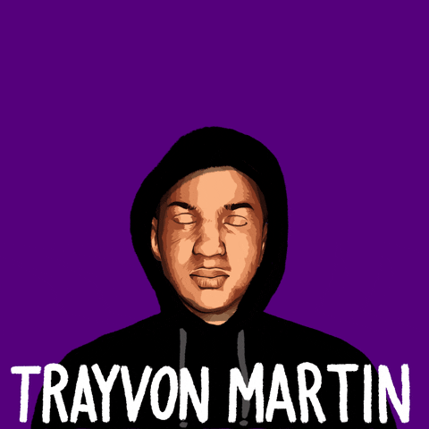 trayvon meme gif