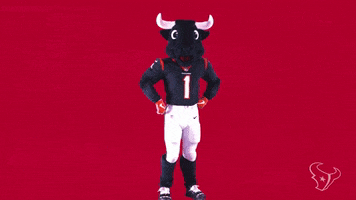 Mascot Toro GIF by Houston Texans