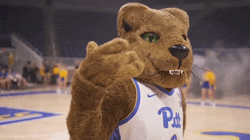 University Of Pittsburgh Mascot GIF by Pitt Panthers