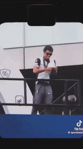 Tottenham Hotspur Spurs GIF
