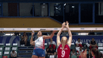 High Five Get Ready GIF by Volleyball World