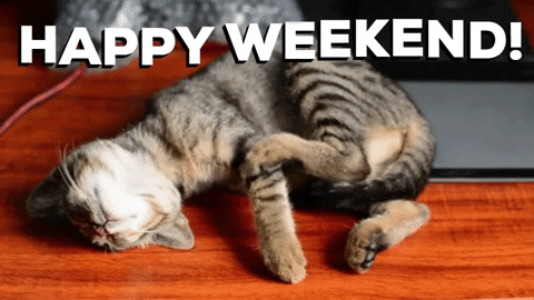 Pohyblivý obrázek s ležící kočičkou a nápisem Happy weekend.