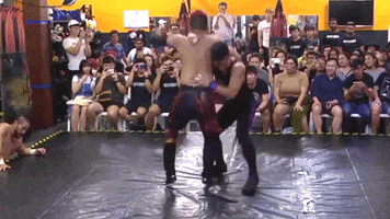 Rock Bottom GIF