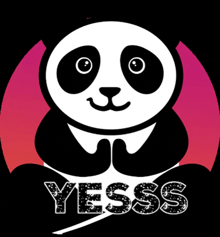 Panda Media GIF