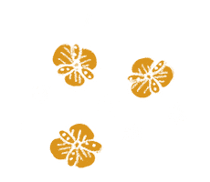 Happy Fun Sticker by SukkhaCitta