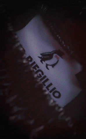 Mr Riegillio GIF