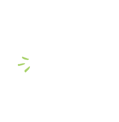 Fashion Warrior Sticker by Tricoci  University