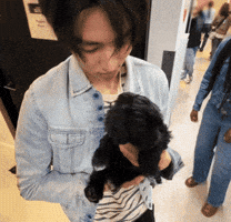 Cortis GIF