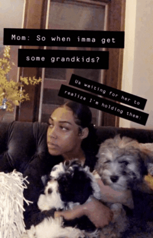 Dog GIF