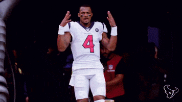 National Football League GIF by Houston Texans