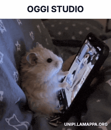 Unifi GIF by lamappa.org