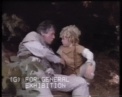 battle for endor wicket GIF by mdleone