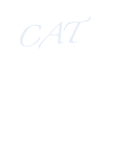Happy Cat Sticker