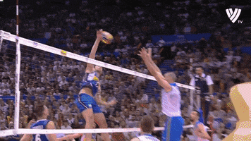 Keep It Alive Get Ready GIF by Volleyball World