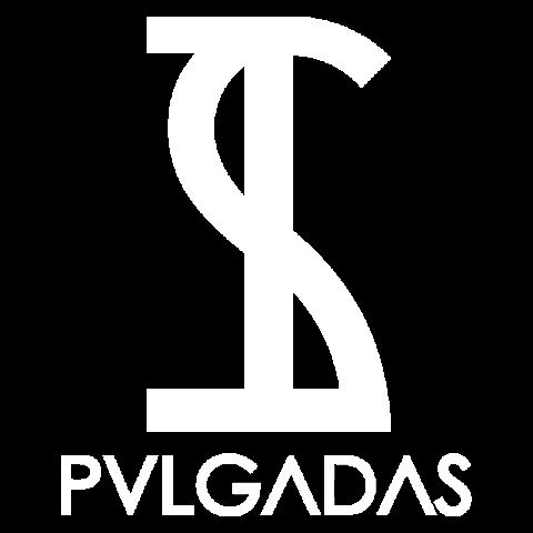 12 Pulgadas BCN GIF