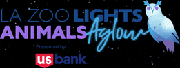 Los Angeles Zoo Lights GIF by Los Angeles Zoo and Botanical Gardens