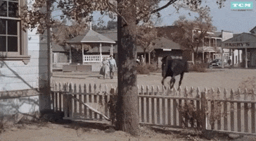 Gypsy Westerns GIF by Turner Classic Movies